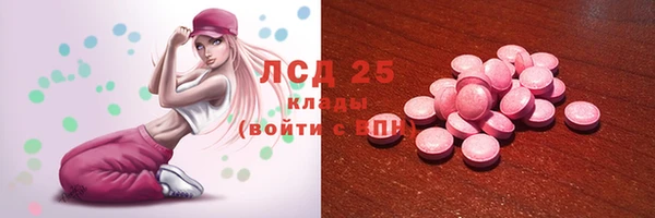 МДПВ Пересвет