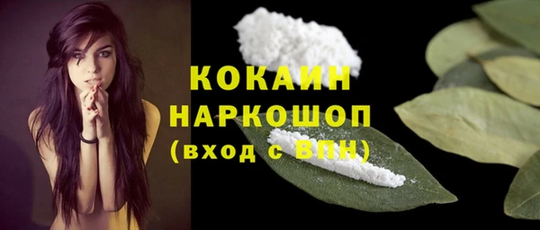 шишки Покровск