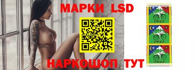 крисы Новодвинск