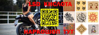 крисы Новодвинск