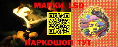 твердый Новозыбков