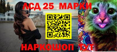 твердый Новозыбков