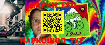 крисы Новодвинск