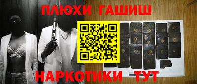 крисы Новодвинск